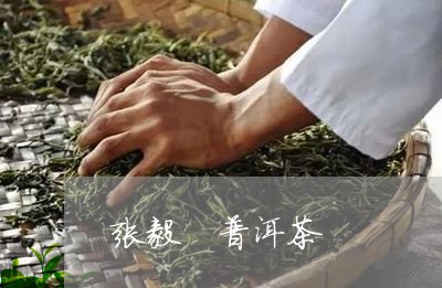 张毅 普洱茶/2023042793225